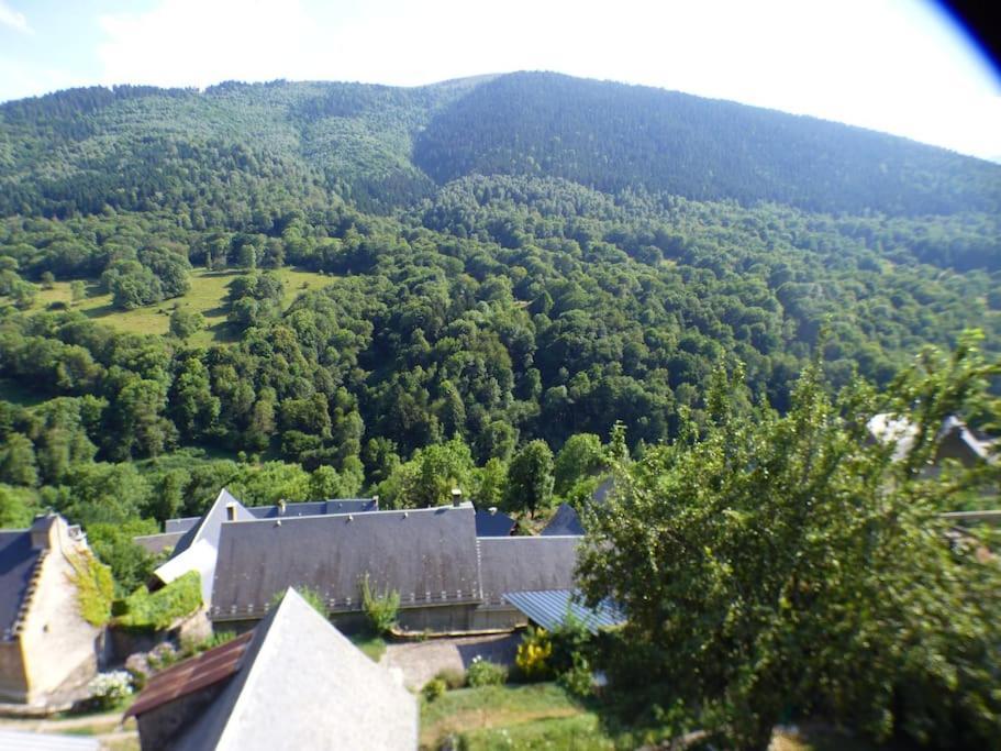 Maison Familiale Pour 8 Saint-Aventin Eksteriør billede