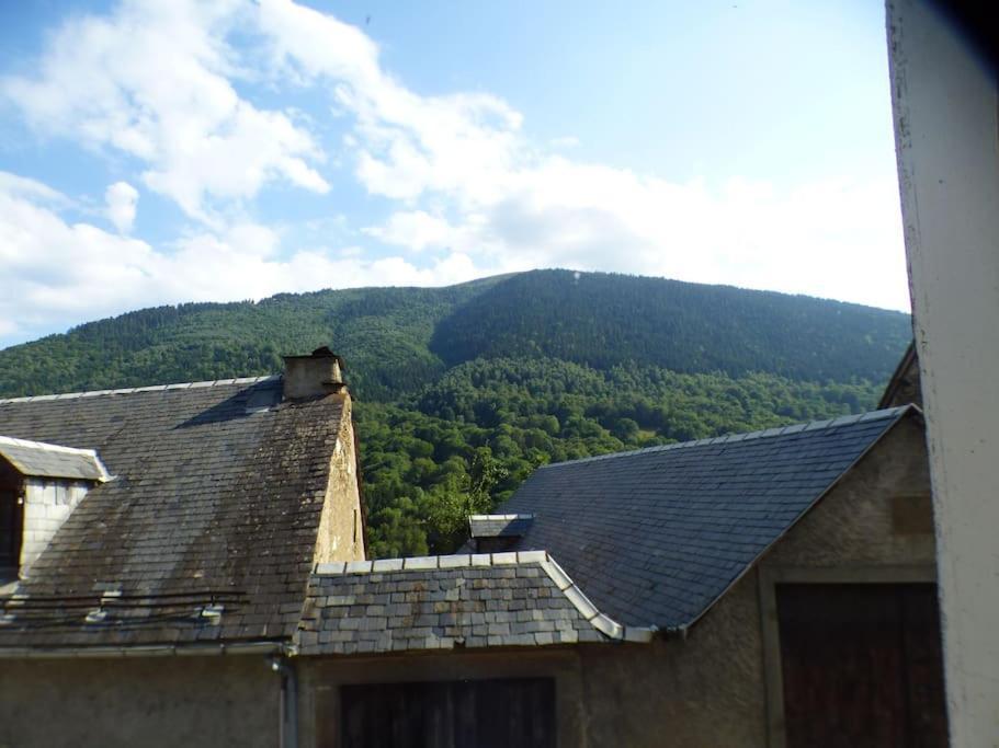 Maison Familiale Pour 8 Saint-Aventin Eksteriør billede